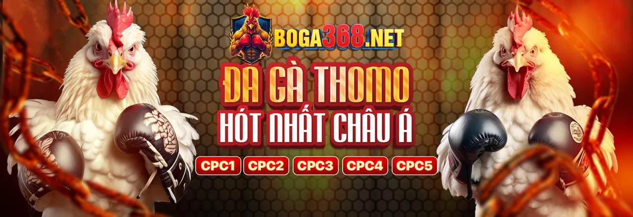Giao diện nền tảng qh88 casino